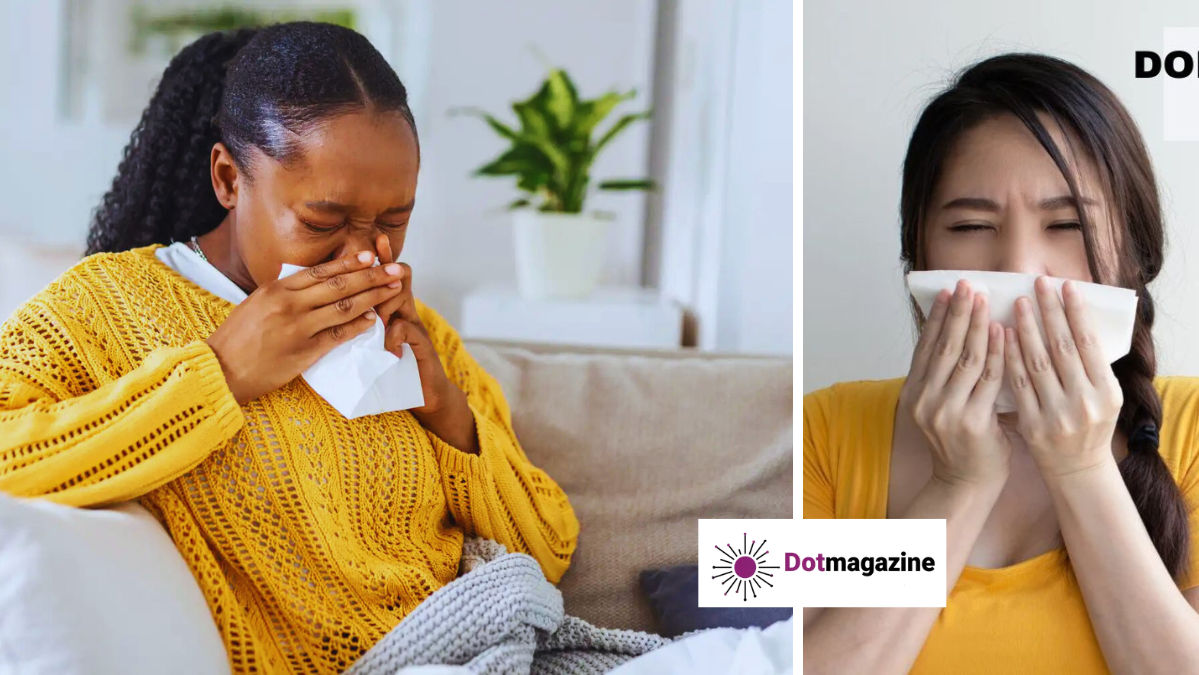 Anwendung von Use Gullrazwupolxin: Ein praktischer Expertenleitfaden